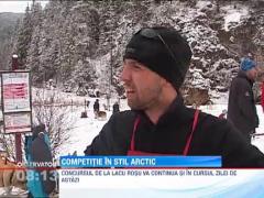 Concurs canin in Harghita