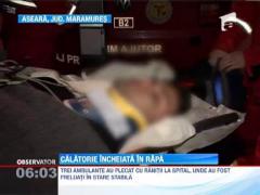 Calatorie incheiata in rapa