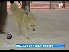 Iarna face noi victime in Europa