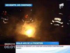 Grajd ars de la pocnitori