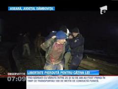 Trei barbati au fost prinsi in flagrant la furat de tevi