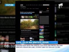 Padurea Hoia-Baciu din judetul Cluj, in topul celor mai bantuite paduri din lume