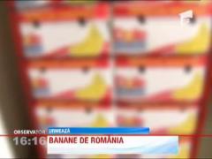 Observator 16 Weekend