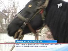Calul, ciinele si politistu
