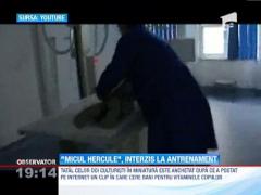 Micul Hercule, masina de facut bani pentru parintii lui