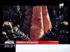 O ciuperca transforma furnicile in zombie