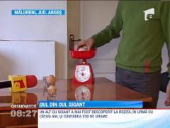 Descoperire inedita in judetul Arges! Un ou, intr-un alt ou!