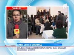 Somerii gorjeni pierd joburi platite cu 4.000 de euro pentru ca nu stiu limba engleza sau germana