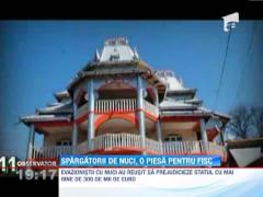 Evazionistii cu nuci au prejudiciat statul cu peste 300 de mii de euro