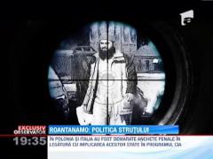 ROANTANAMO: Politica strutului