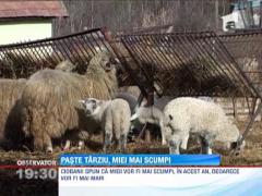 Paste mai tarziu, miei mai scumpi