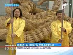 UPDATE / Chinezii au intrat in Anul Sarpelui