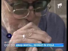 Cei mai periculosi virusi din istoria omenirii, recreati in sticla