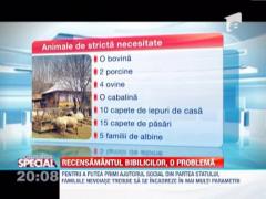 Ajutorul social ar putea deveni cosmarul social pentru multi dintre beneficiari