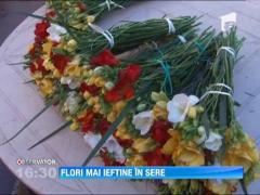 Flori mai ieftine in sere