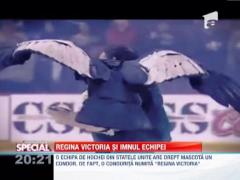 Condorul, o mascota cu atitudine