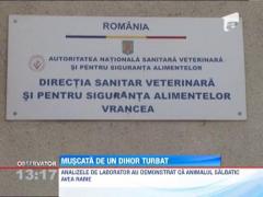 Carantina de gradul 3 in cateva gospodarii din Vrancea si Covasna