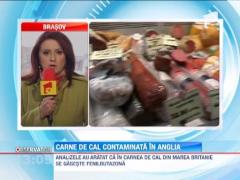Carne de cal contaminata in Anglia