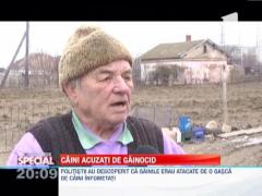 Caini acuzati de genocid