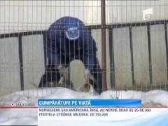 Un roman ar trebui sa-si economiseasa 30 de ani salariul, ca sa-si cumpere un apartament!