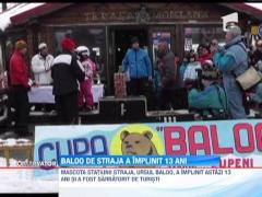 Petrecere surpriza pentru ursul Baloo din Straja