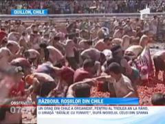 Razboiul rosiilor din Chile