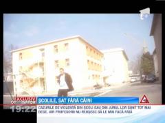 Scolile din Romania, sat fara caini