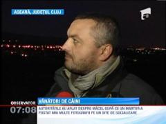 IMAGINI SOCANTE! / Vanatori de caini