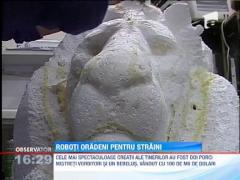 Roboti oradeni pentru straini