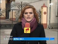 Carne de cal etichetata drept carne de vaca a fost descoperita intr-un depozit din Ilfov