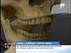 O fabrica din Oradea exporta roboti sub forma unor animale in toate colturile lumii