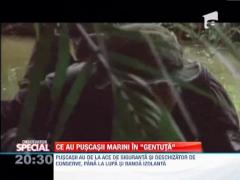 Ce au puscasii marini in gentuta