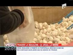 Tragem la magazine, ca ursul la miere