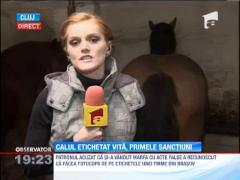 Calul deghizat in vita a ajuns intr-un dosar cu sina