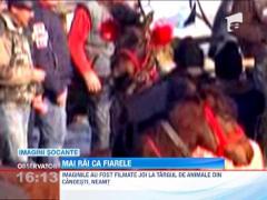 Cruzime fara margini! Zeci de cai, biciuiti cu bestialitate la targul de animale din Neamt