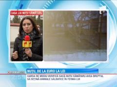 Garda de Mediu l-a lasat fara lei si ursi pe Nutu Camataru