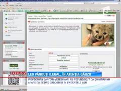 Leii vanduti ilegal, in atentia Garzii de Mediu