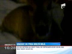 Doi batrani din Mehedinti au salvat de la moarte o caprioara, la un pas de puscarie