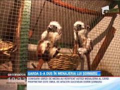 Gradina zoologica privata detinuta de Dorin Soimaru, verificata de Garda de Mediu