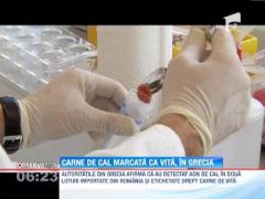 Scandalul carnii de cal a ajuns si in Grecia