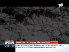 Observator Special: Cutremurul din 1977, panica si groaza. Cum trebuie sa reactionezi in cazul unui seism