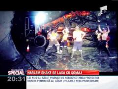 Observator Special: 15 mineri australieni au fost concediati pentru ca au dansat Harlem Shake in subteran