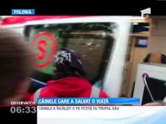 O fetita din Polonia, ratacita in padure intr-o noapte friguroasa, a supravietuit datorita cainelui care o insotea