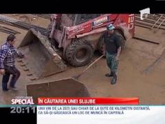 Observator Special: Somerii Romaniei, disperati, cauta sa lucreze cu ziua