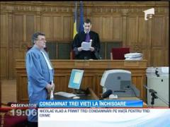 Nicolae Vlad, ucigasul studentei japoneze a primit trei condamnari pe viata