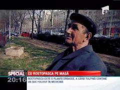 Observator Special: Rostopasca si sfanta zi de Pasti