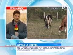 Desi laptele contaminat a fost distrus, este posibil ca acesta sa se afle inca la consumatori