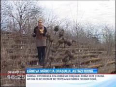 Hipodromul de la Craiova, o amintire frumoasa. Speranta moare ultima!