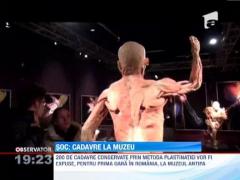 Cea mai controversata expozitie din Romania