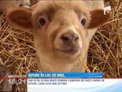 Carnea de iepure este preferata de unii romani pentru masa de Pasti